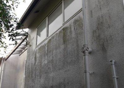 Prepaint House Wash Auckland before