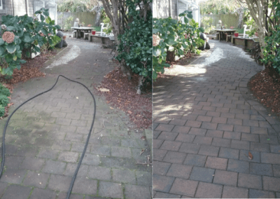 Path Before & After